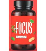 Eria Jarensis PIRACETAM NOOPEPT od Smart Brothers