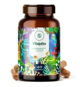 Reishi, Čaga, Korálovec, Shiitake - Medicínské léčivé houby v tabletách - Oficiální prodej