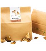 Sušená Hlíva ústřičná - Koupit houby na prodej v BIO kvalitě