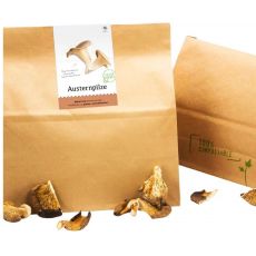 Sušená Hlíva ústřičná - Koupit houby na prodej v BIO kvalitě